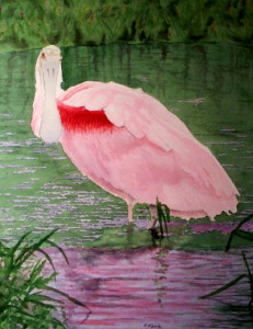 Rosie the Spoonbill